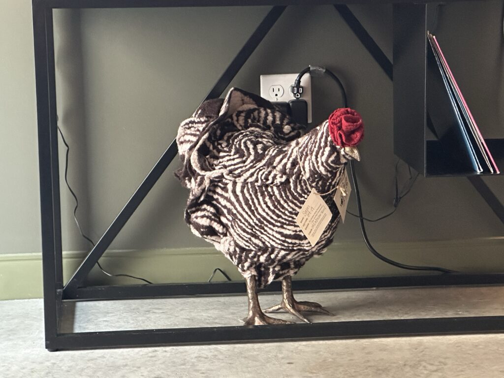 a chicken with a cloth on its body