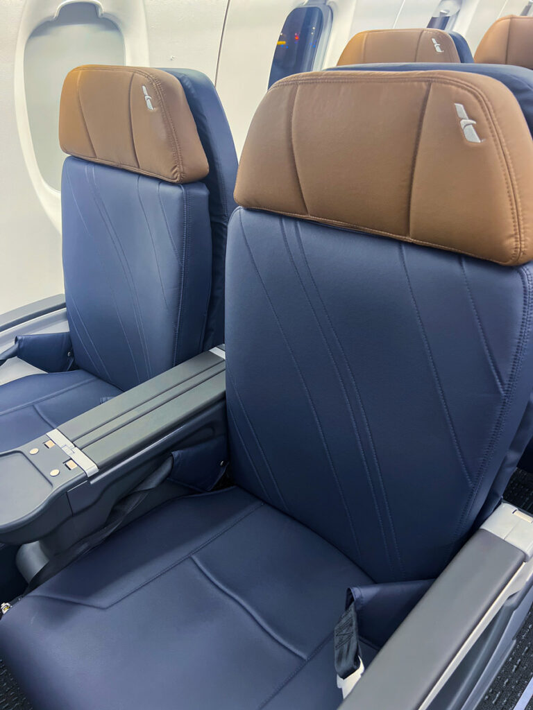 a seats in an airplane